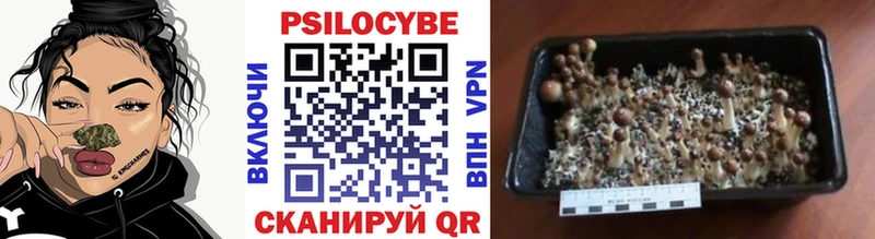 купить наркотик  OMG ссылка  Галлюциногенные грибы Magic Shrooms  Бокситогорск 